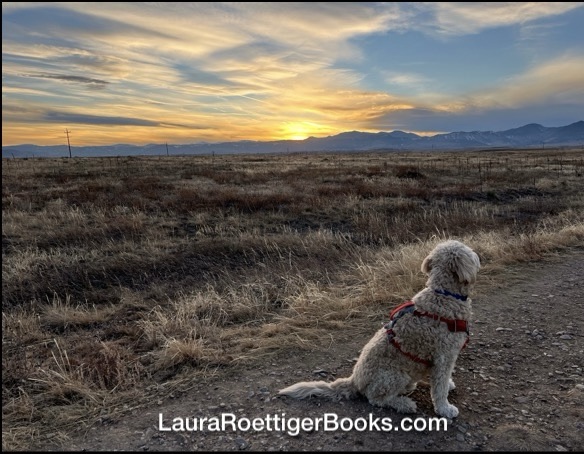 Sunset and Goldendoodle photography by Laura Roettiger 1/3/2025