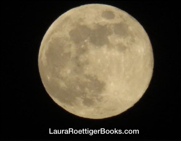 Full moon photography by Laura Roettiger taken 1/13/2025
