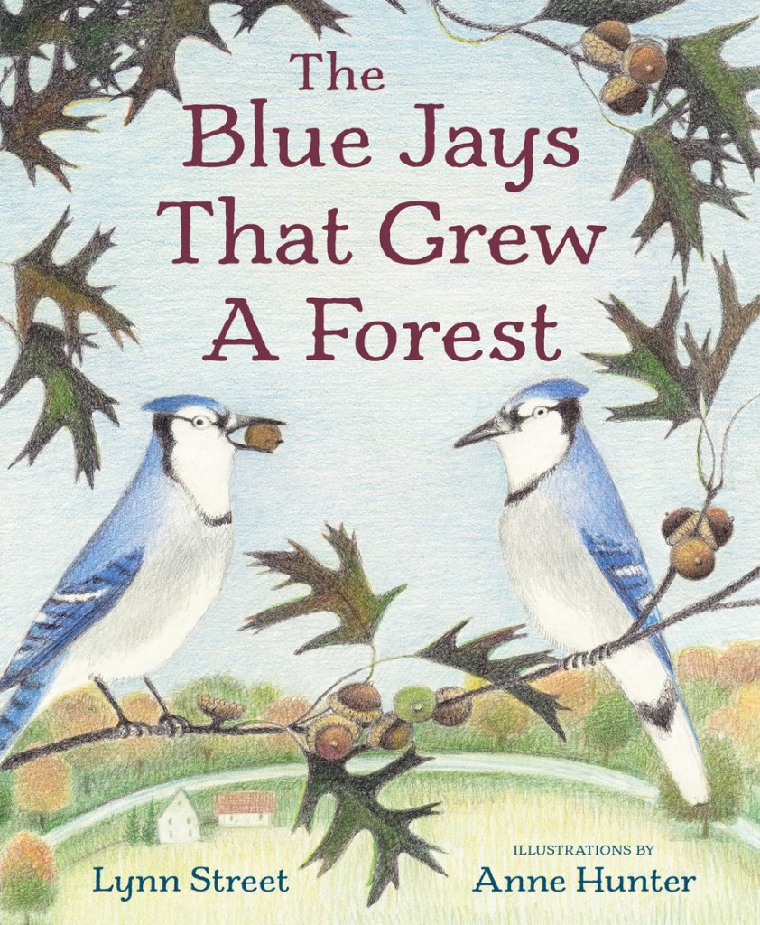 The Blue Jays That Grew A Forest by Lynn Street and Anne Hunter