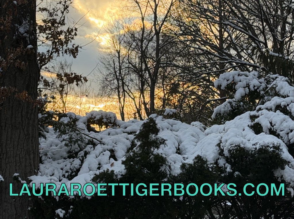Sunset photography after snowfall
