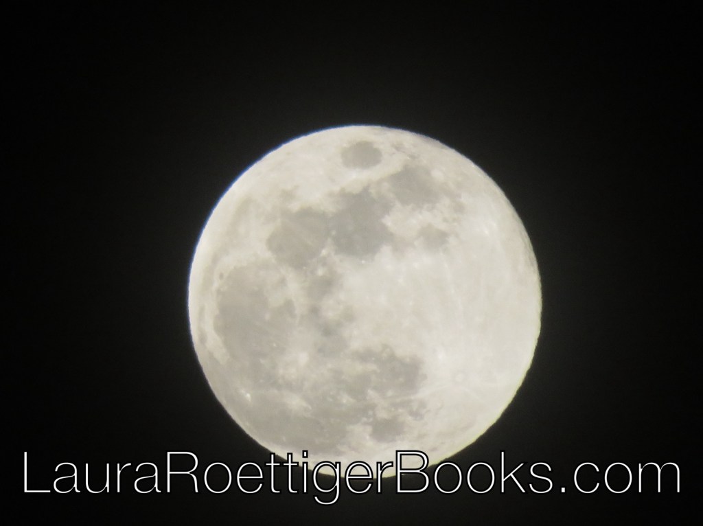 Full moon photography ice moon 2/1/2026 by Laura Roettiger 