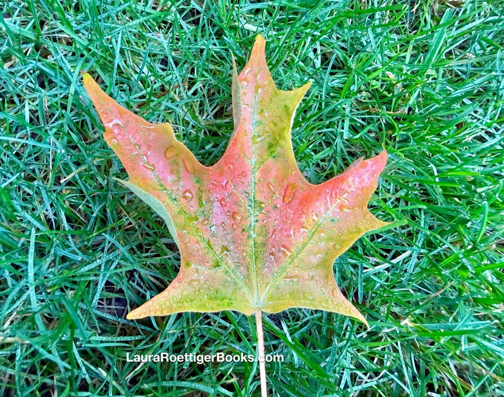 Leaf changing color