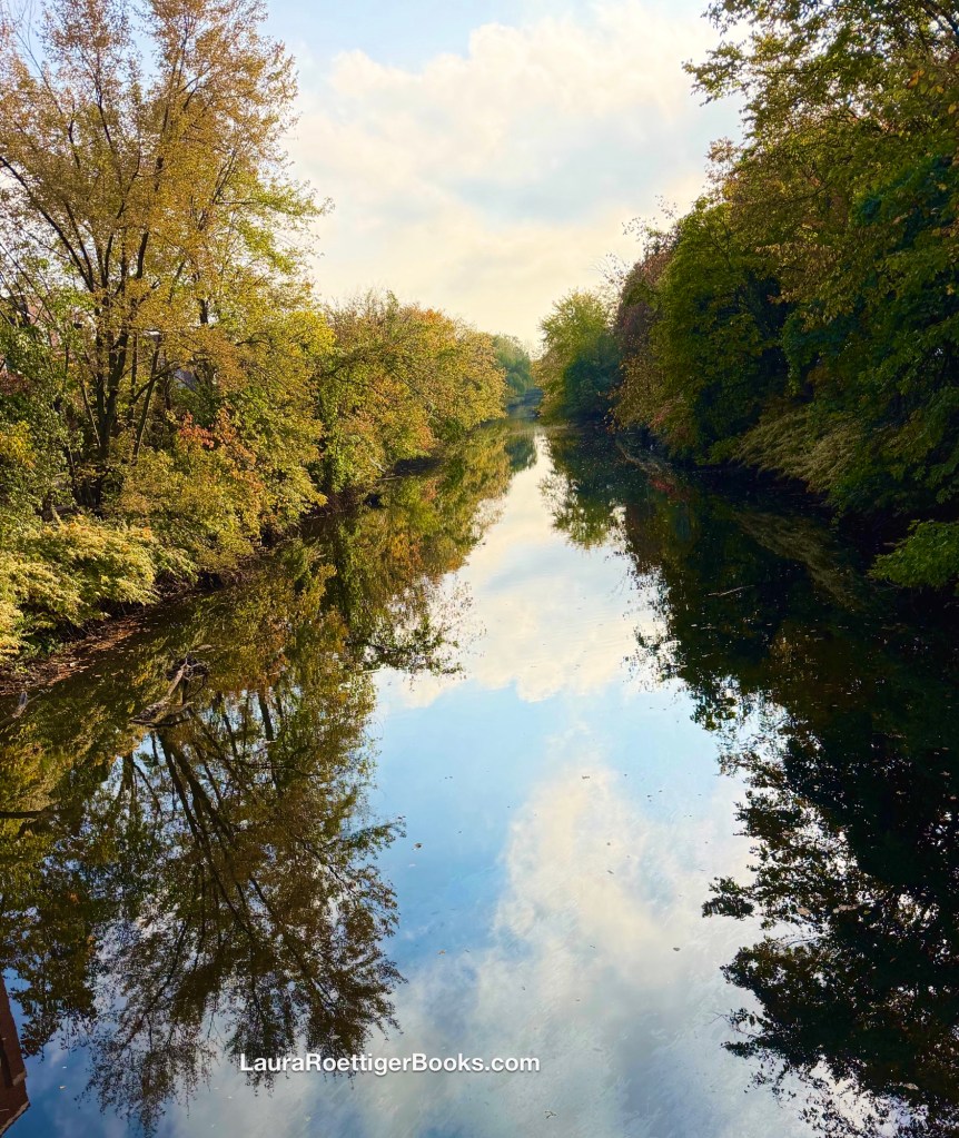 Creek with trees reflected on the water.